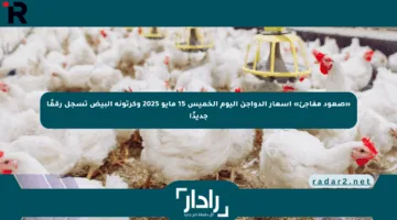 «صعود مفاجئ» أسعار الدواجن اليوم الخميس 15 مايو 2025 وكرتونة البيض تسجل رقمًا جديدًا